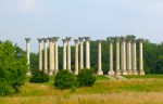 Capitol pillars in National&nbsp;Arboretum