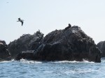 Ballestas Islands