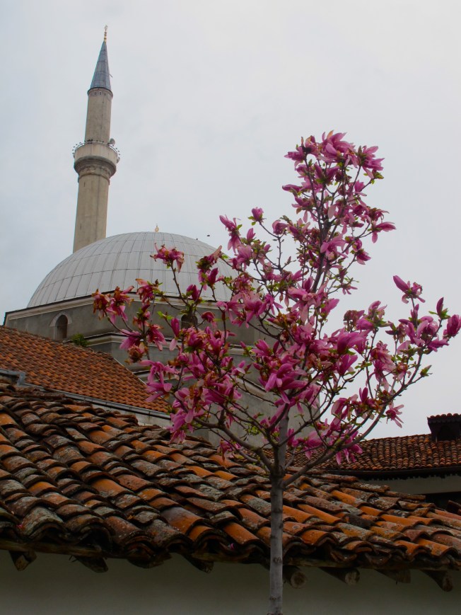 Gazi Mehmet Pasha mosque