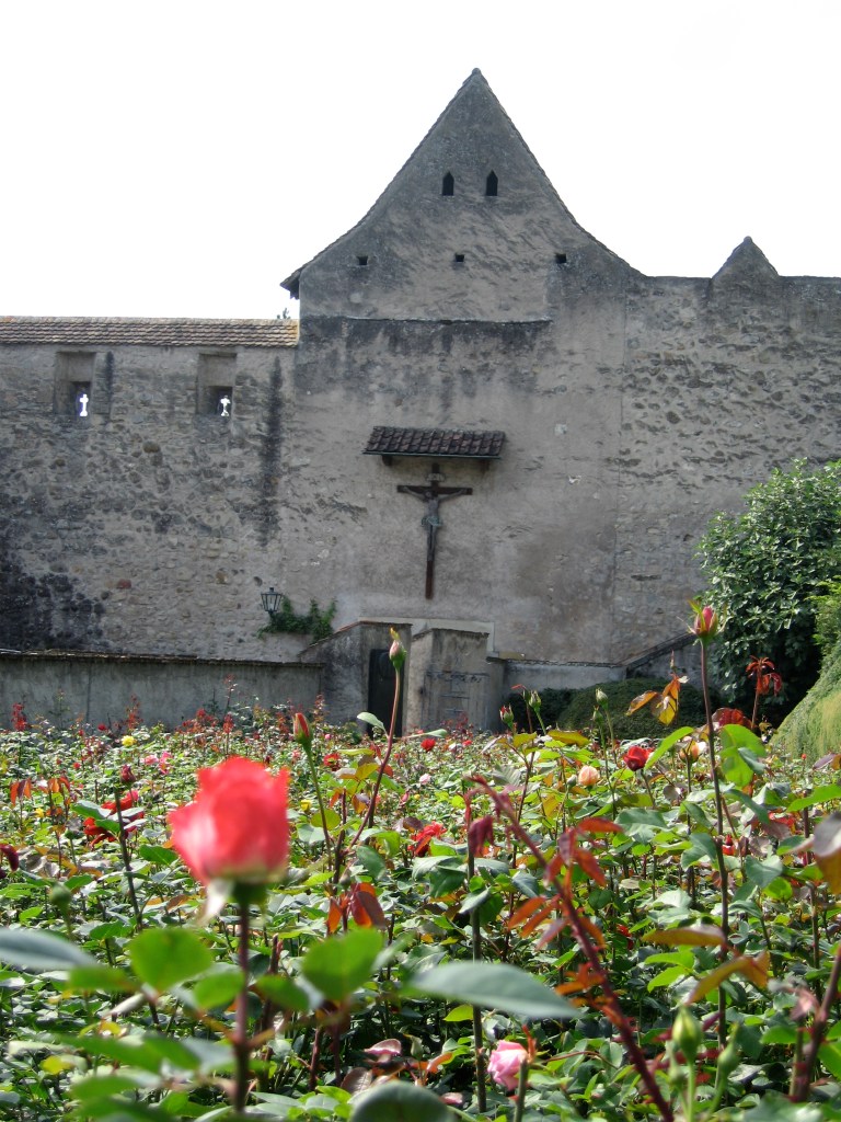Capuchin Monastery and rose garden