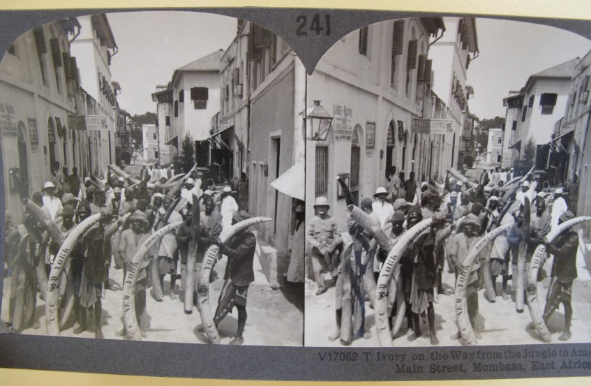Mombasa stereograph