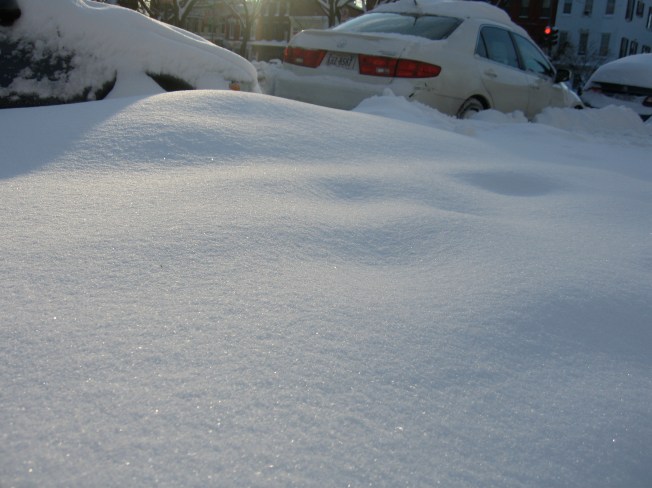 Fresh snow is always so beautiful - I don't want to disturb it!