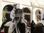 Souq Waqif