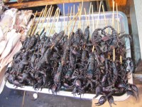 Wangfujing Snack Street