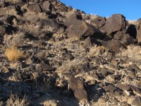 Petroglyph National Monument