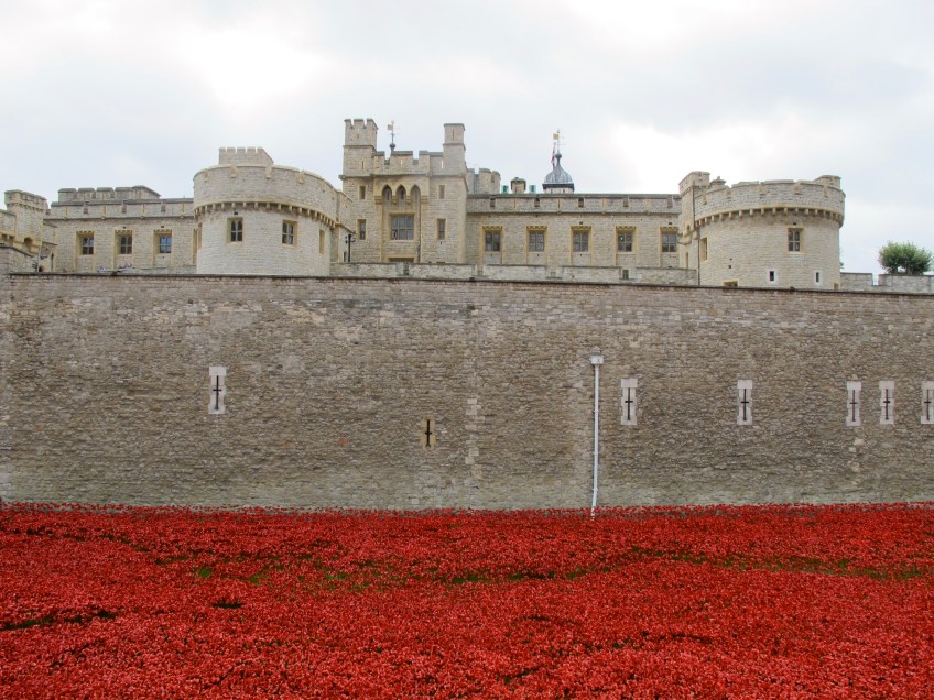 London poppies