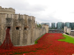 London poppies