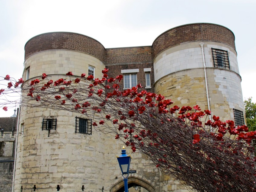 London poppies