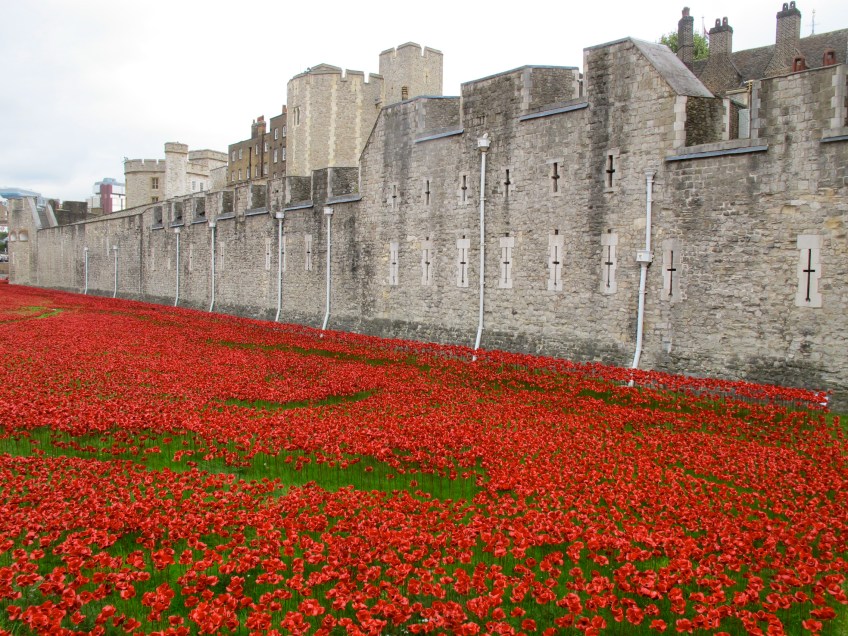 London poppies